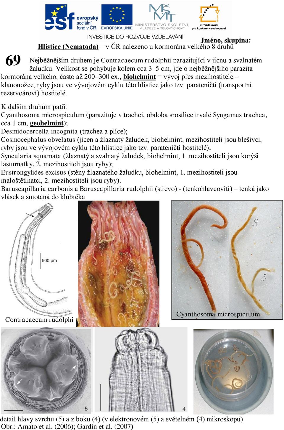 , biohelmint = vývoj přes mezihostitele klanonožce, ryby jsou ve vývojovém cyklu této hlístice jako tzv. parateničtí (transportní, rezervoároví) hostitelé.