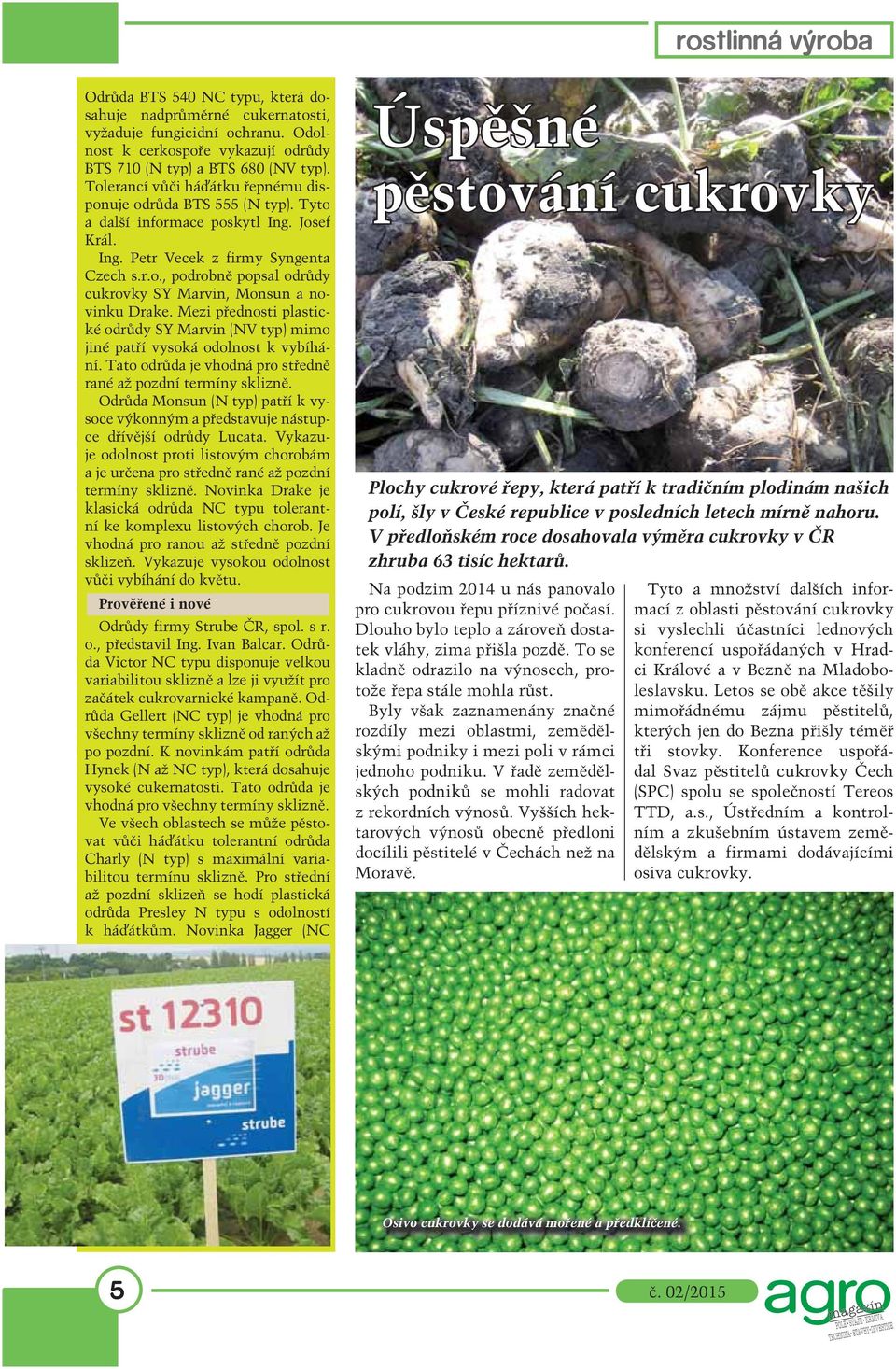 Mezi přednosti plastické odrůdy SY Marvin (NV typ) mimo jiné patří vysoká odolnost k vybíhání. Tato odrůda je vhodná pro středně rané až pozdní termíny sklizně.