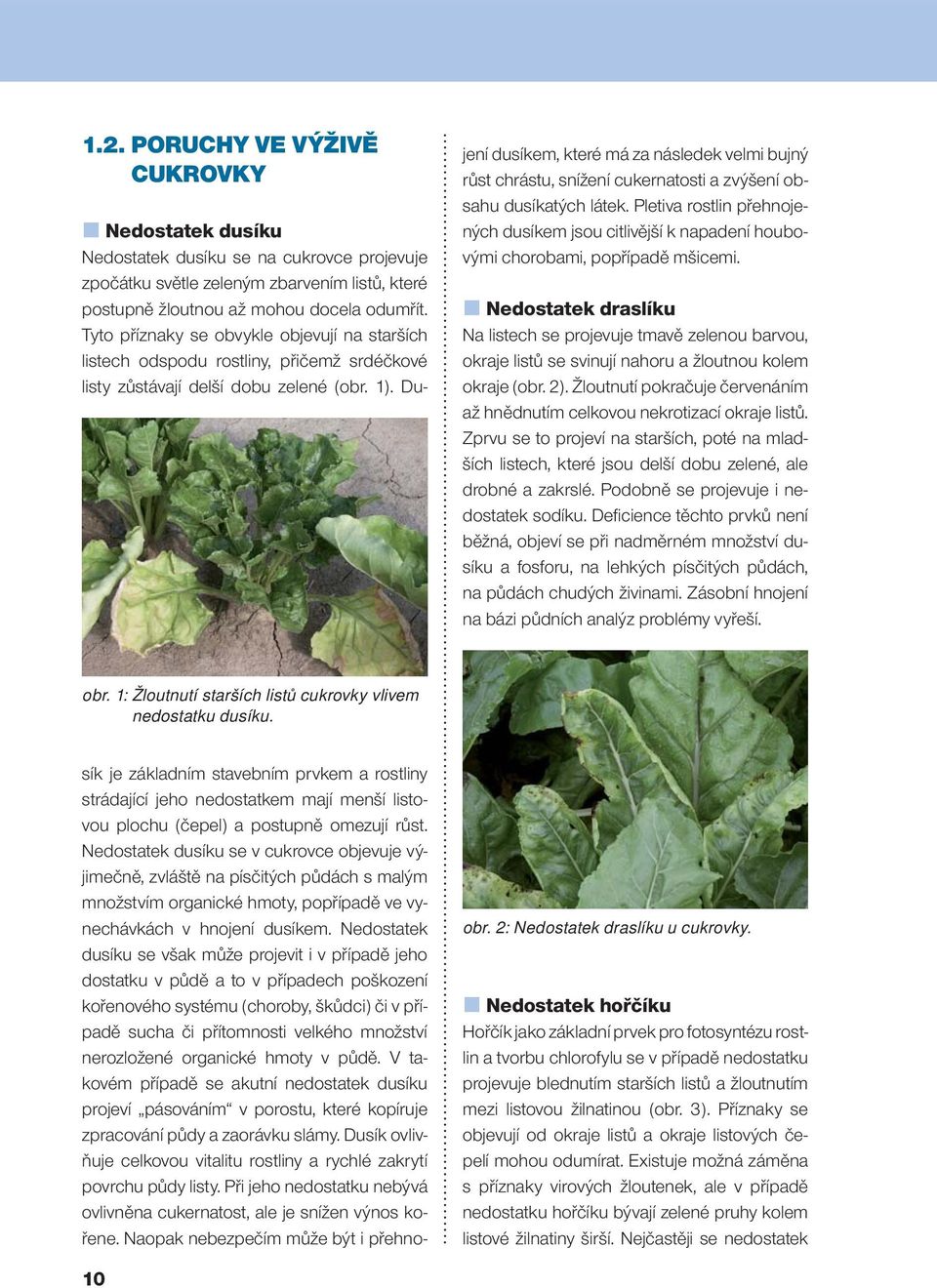 Nedostatek dusíku se však může projevit i v případě jeho dostatku v půdě a to v případech poškození kořenového systému (choroby, škůdci) či v případě sucha či přítomnosti velkého množství nerozložené