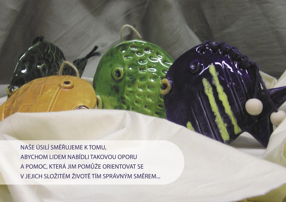 KTERÁ JIM POMŮŽE ORIENTOVAT SE V