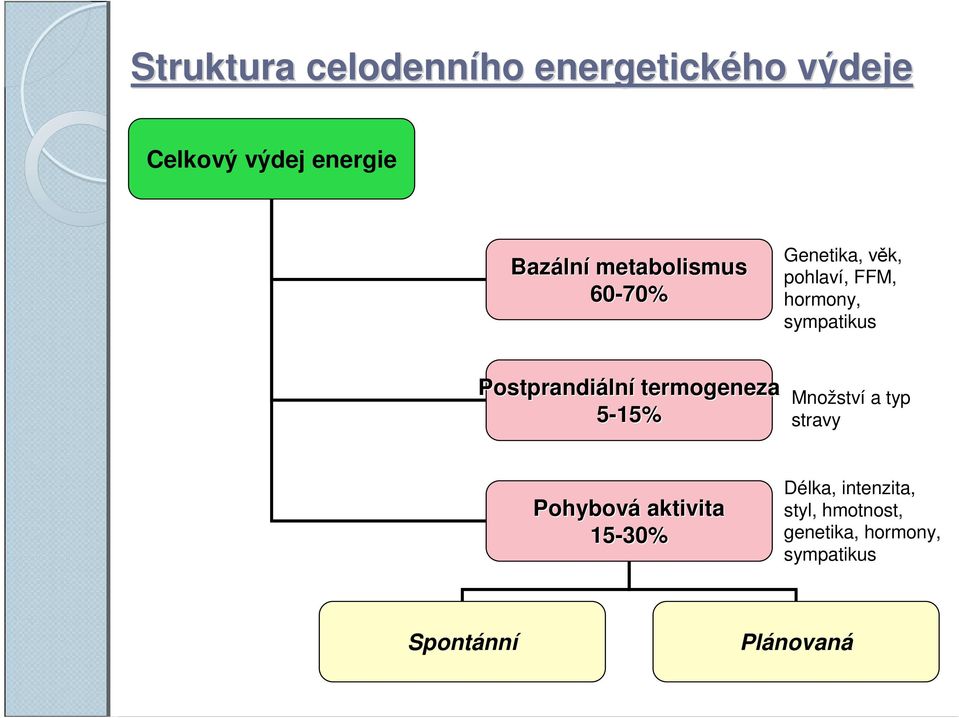 Postprandiální termogeneza 5-15% Množství a typ stravy Pohybová aktivita