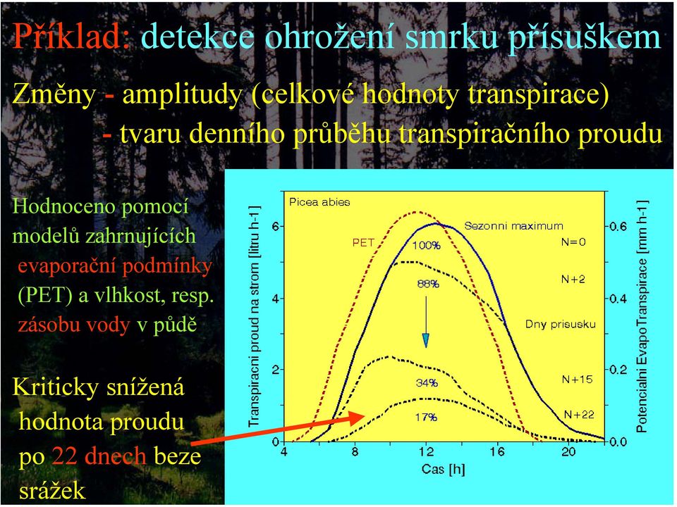 - tvaru denního průběhu transpiračního proudu Hodnoceno pomocí modelů