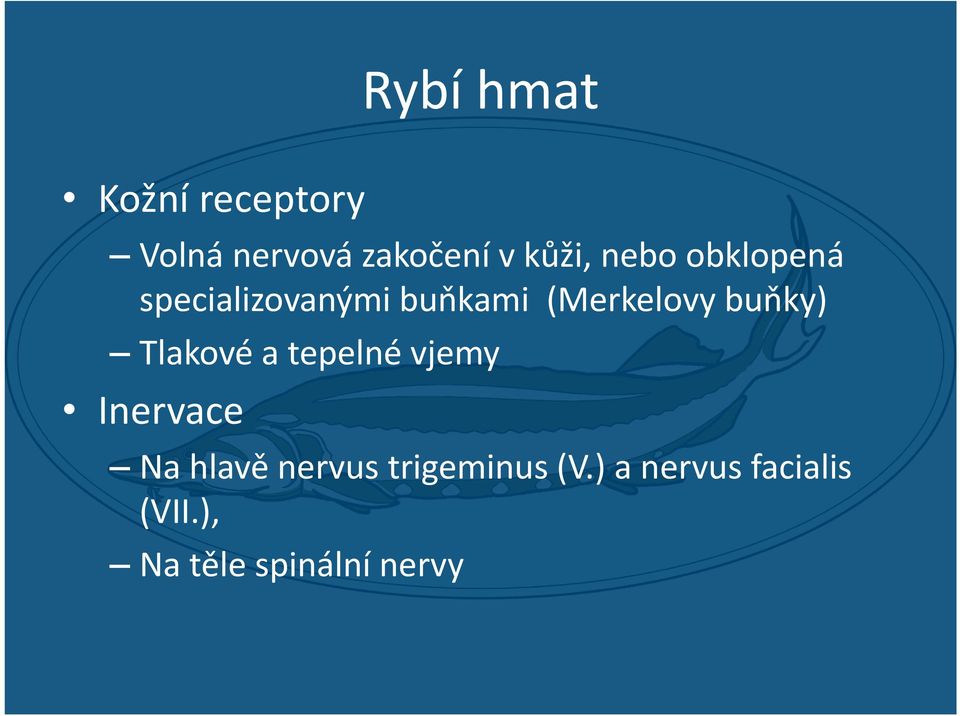 buňky) Tlakové a tepelné vjemy Inervace Na hlavě nervus