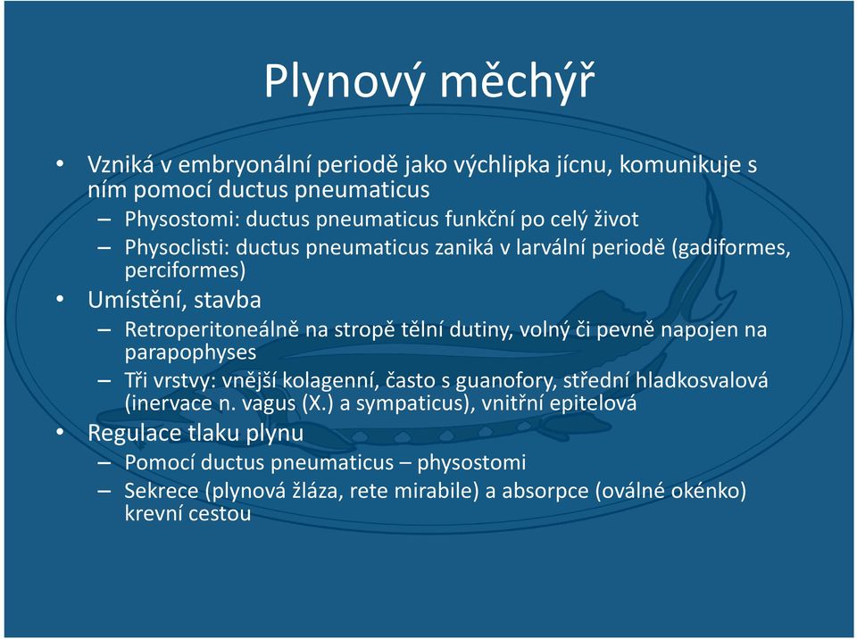 dutiny, volný či pevně napojen na parapophyses Tři vrstvy: vnější kolagenní, často s guanofory, střední hladkosvalová (inervace n. vagus (X.