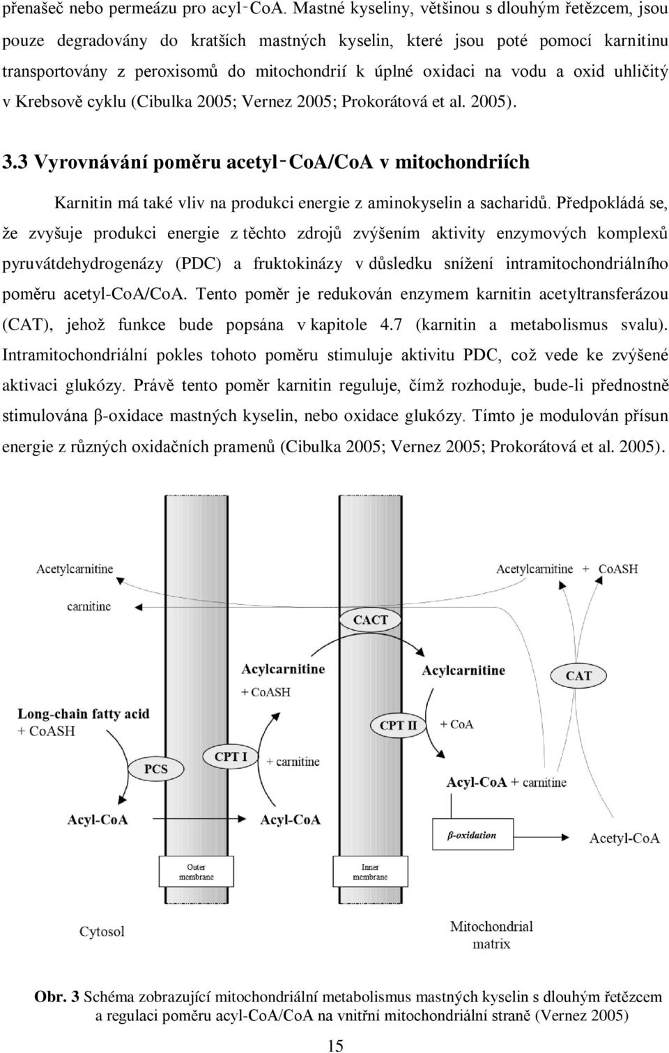 a oxid uhličitý v Krebsově cyklu (Cibulka 2005; Vernez 2005; Prokorátová et al. 2005). 3.