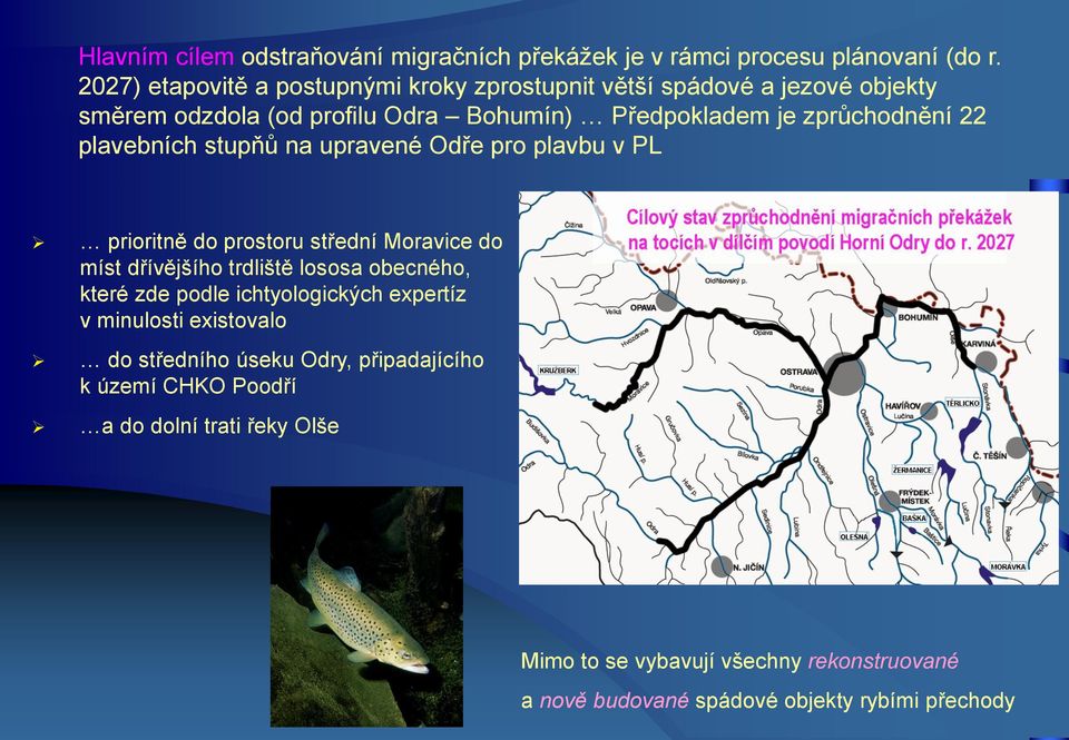 plavebních stupňů na upravené Odře pro plavbu v PL prioritně do prostoru střední Moravice do míst dřívějšího trdliště lososa obecného, které zde podle