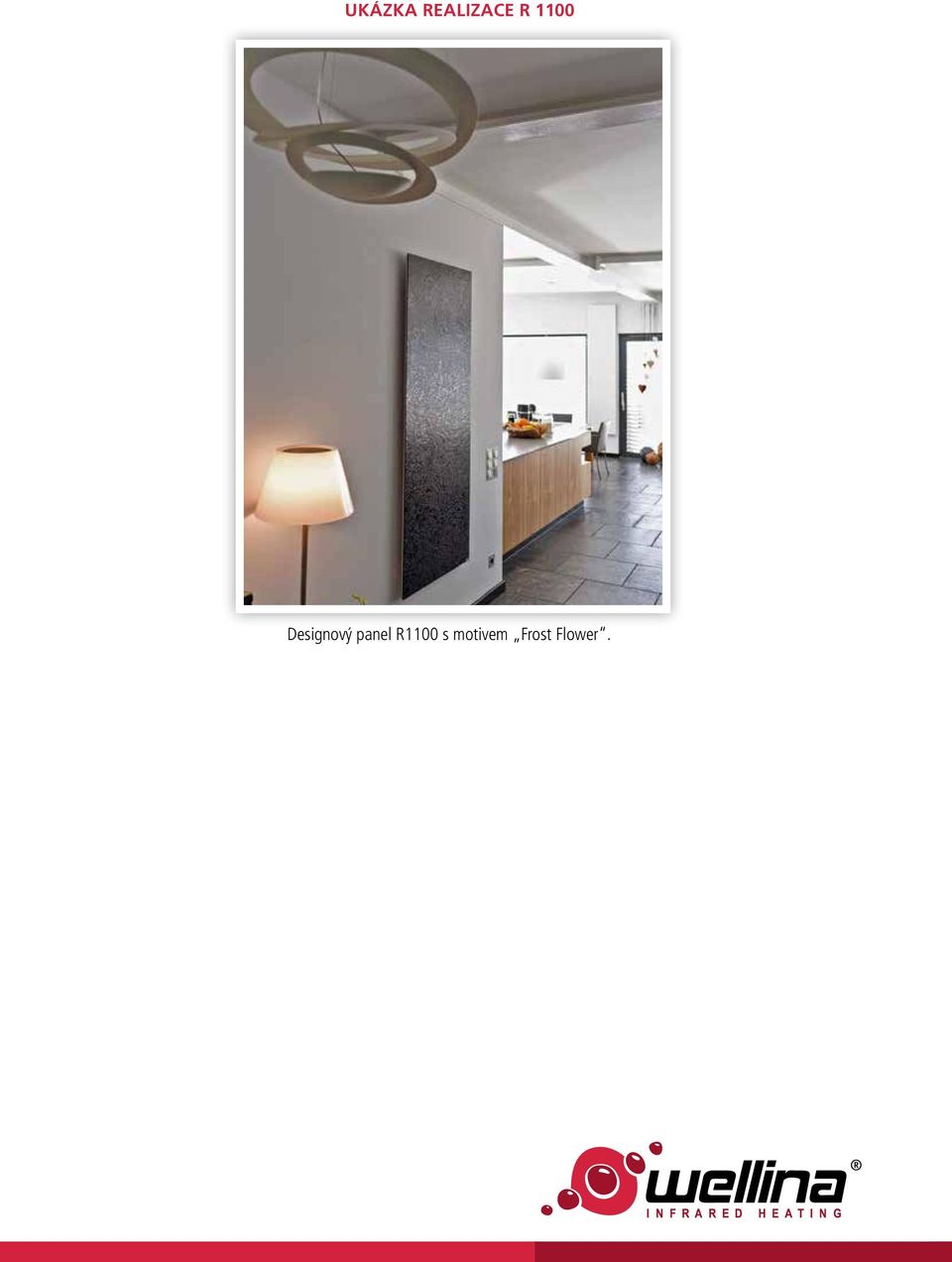 panel R1100 s