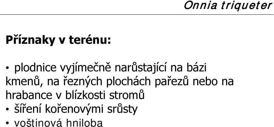 řezných plochách pařezů nebo na hrabance v