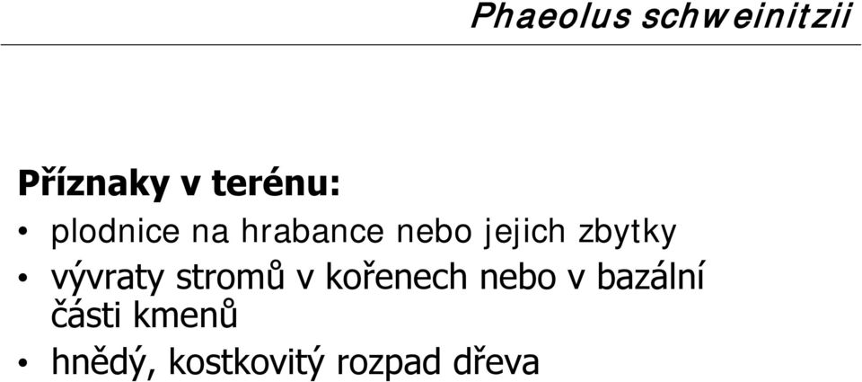 vývraty stromů v kořenech nebo v bazální