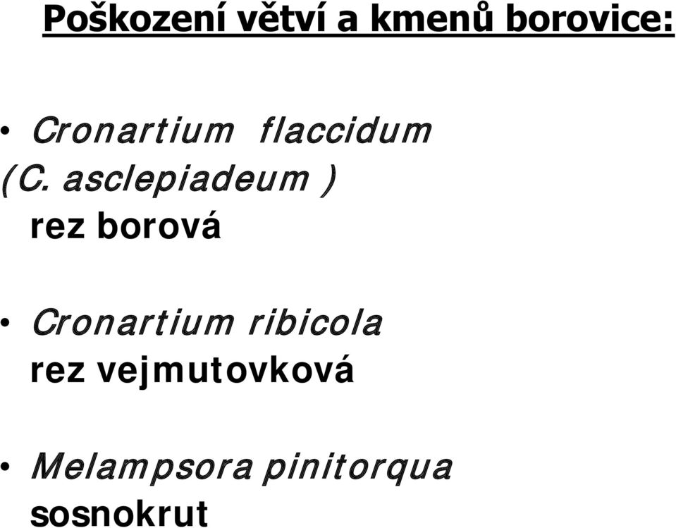 asclepiadeum ) rez borová Cronartium