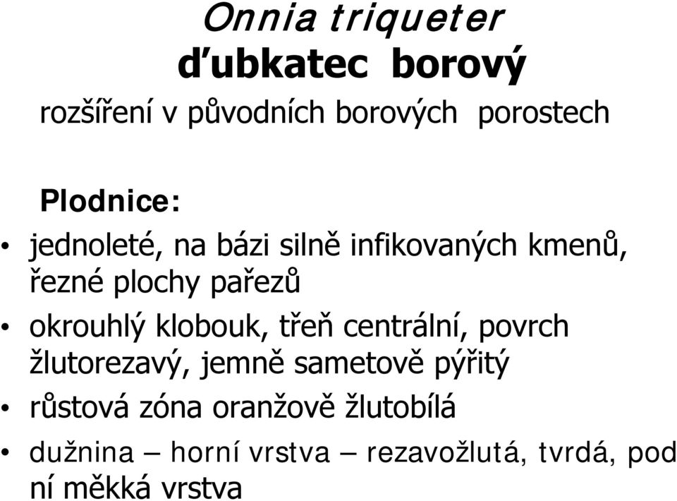 okrouhlý klobouk, třeň centrální, povrch žlutorezavý, jemně sametově pýřitý