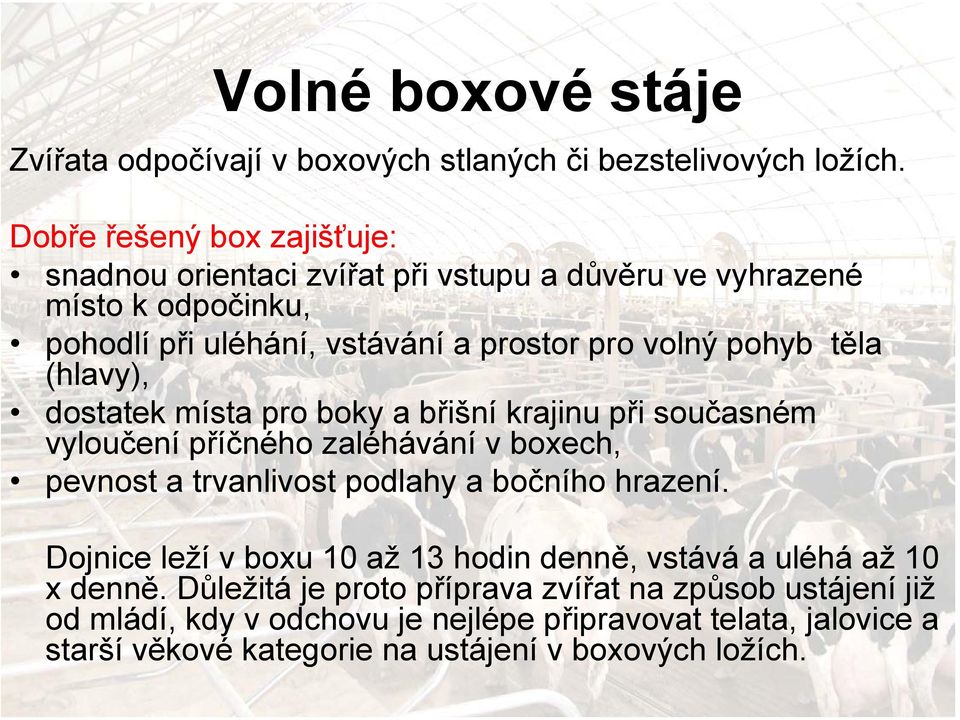 těla (hlavy), dostatek místa pro boky a břišní krajinu při současném vyloučení příčného zaléhávání v boxech, pevnost a trvanlivost podlahy a bočního hrazení.