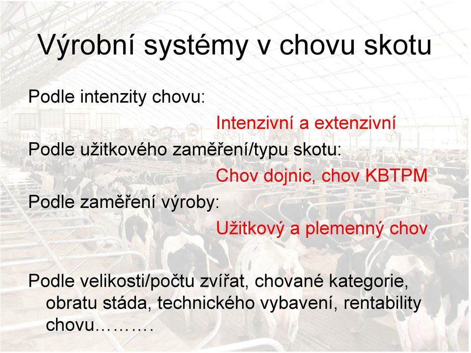 Podle zaměření výroby: Užitkový a plemenný chov Podle velikosti/počtu