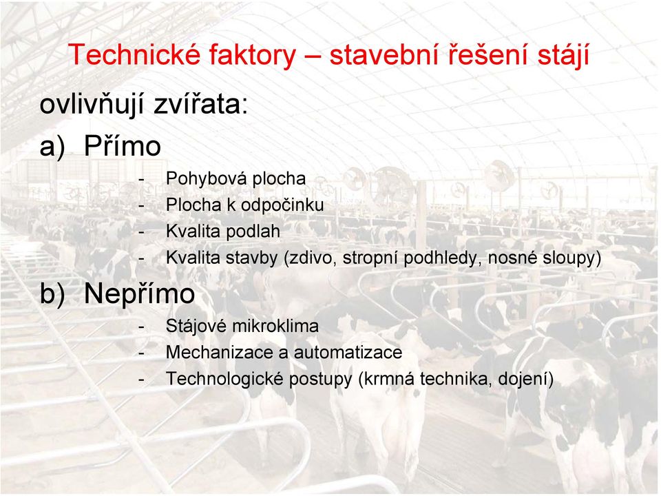 Kvalita stavby (zdivo, stropní podhledy, nosné sloupy) - Stájové