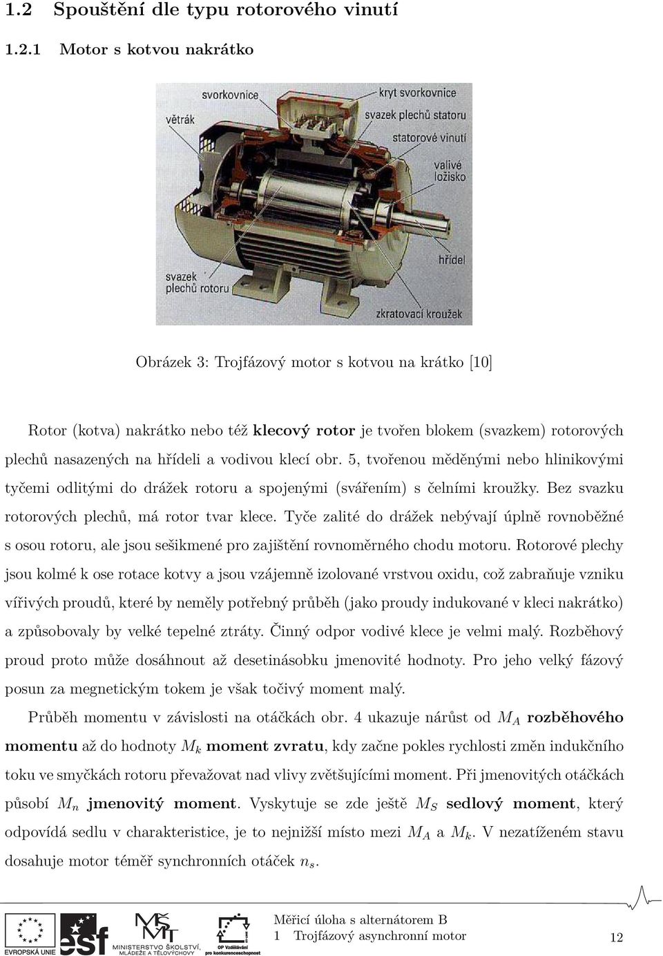 Bez svazku rotorových plechů, má rotor tvar klece. Tyče zalité do drážek nebývají úplně rovnoběžné s osou rotoru, ale jsou sešikmené pro zajištění rovnoměrného chodu motoru.