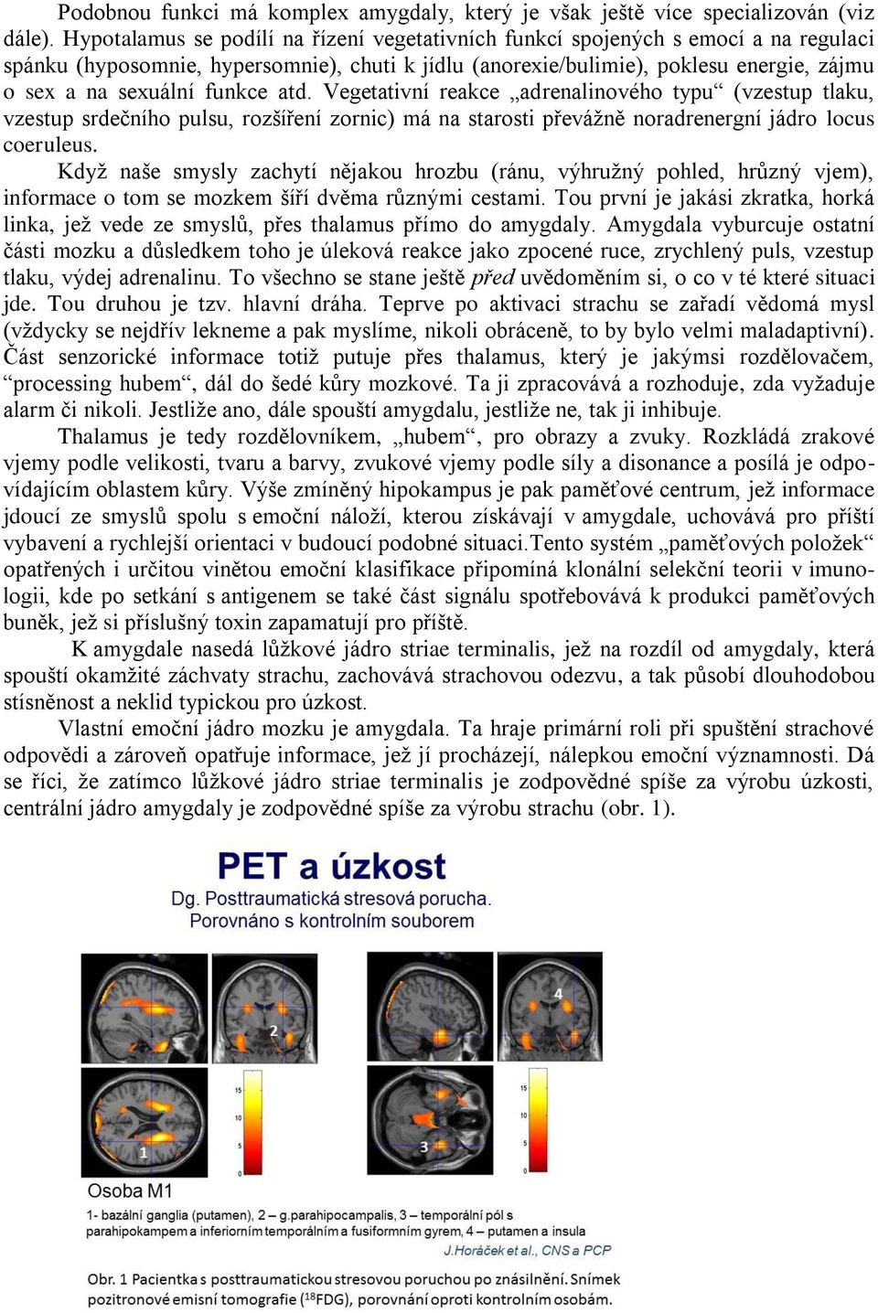 funkce atd. Vegetativní reakce adrenalinového typu (vzestup tlaku, vzestup srdečního pulsu, rozšíření zornic) má na starosti převážně noradrenergní jádro locus coeruleus.