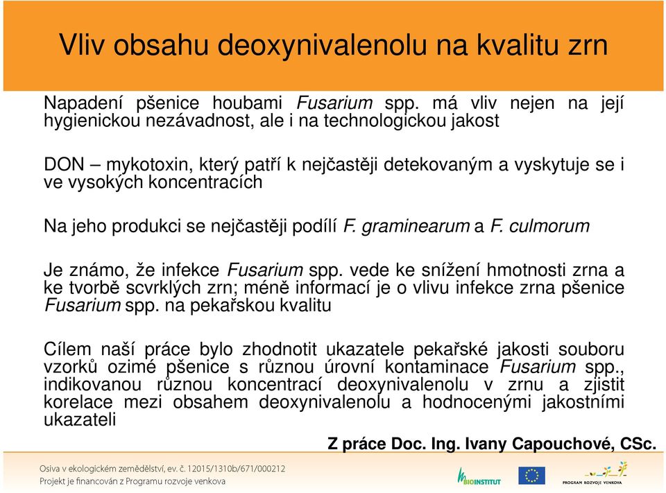 nejčastěji podílí F. graminearum a F. culmorum Je známo, že infekce Fusarium spp. vede ke snížení hmotnosti zrna a ke tvorbě scvrklých zrn; méně informací je o vlivu infekce zrna pšenice Fusarium spp.