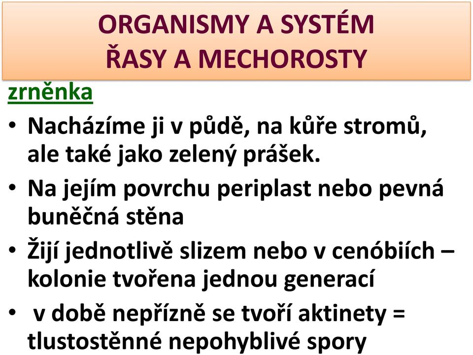 Na jejím povrchu periplast nebo pevná buněčná stěna Žijí jednotlivě