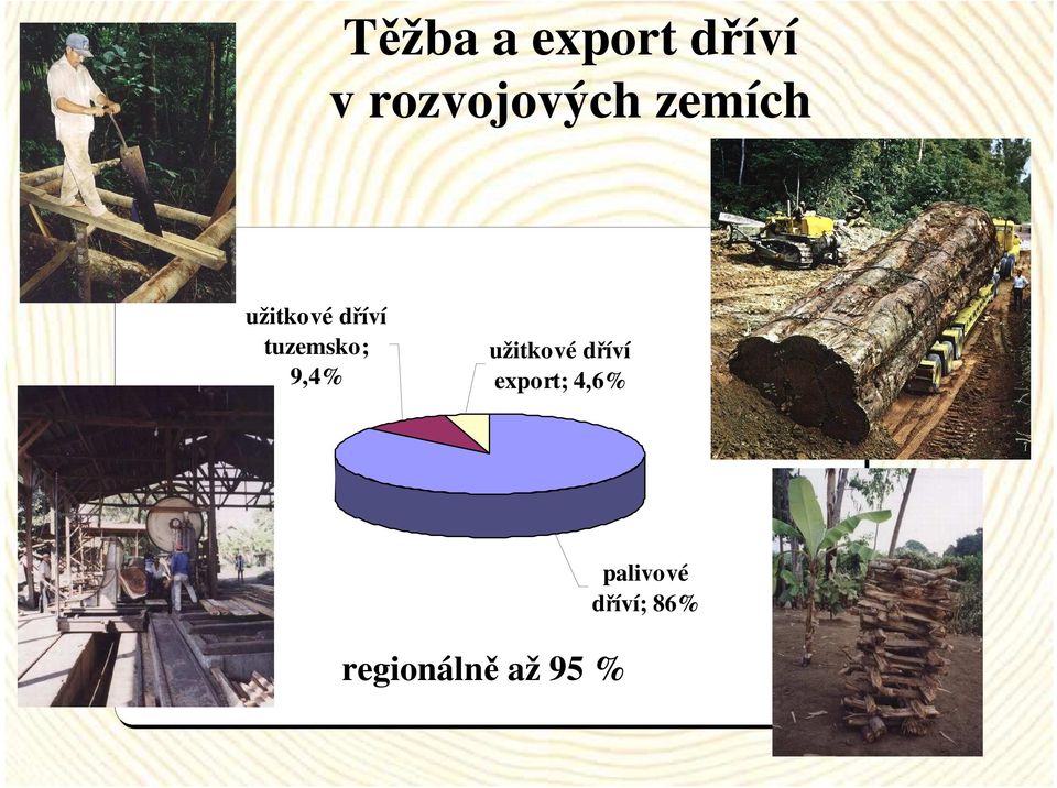 9,4% užitkové dříví export; 4,6%