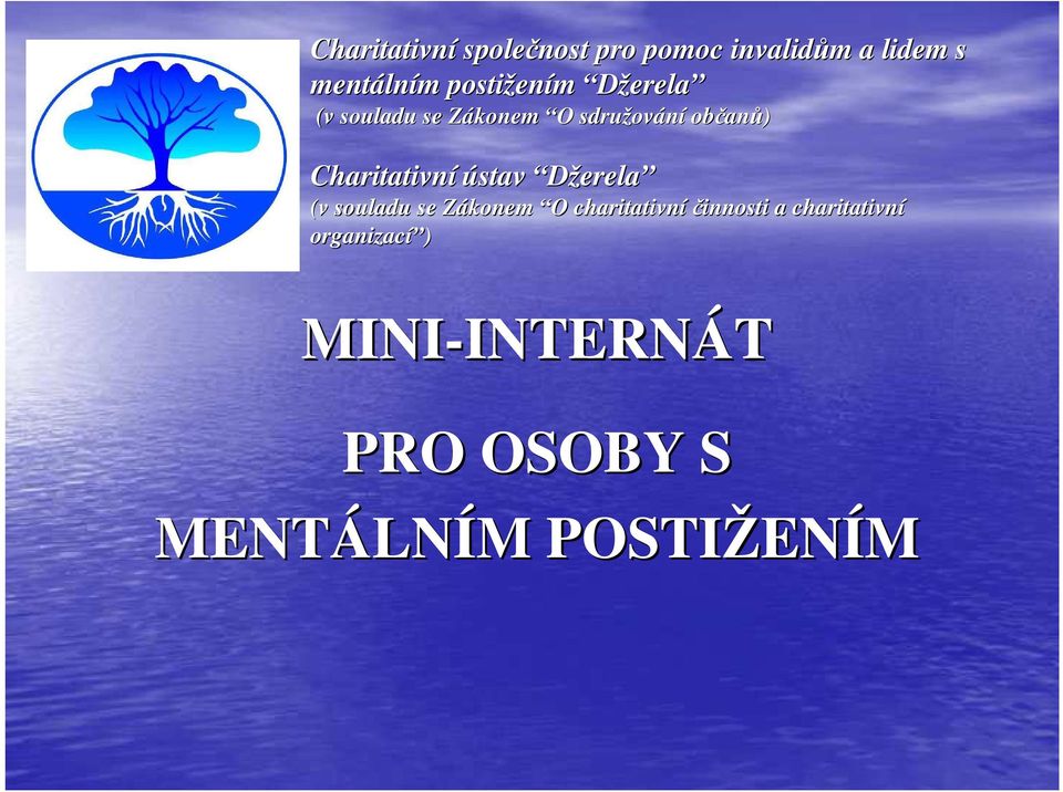 ústav Džerela (v v souladu se Zákonem Z O O charitativníčinnosti innosti a