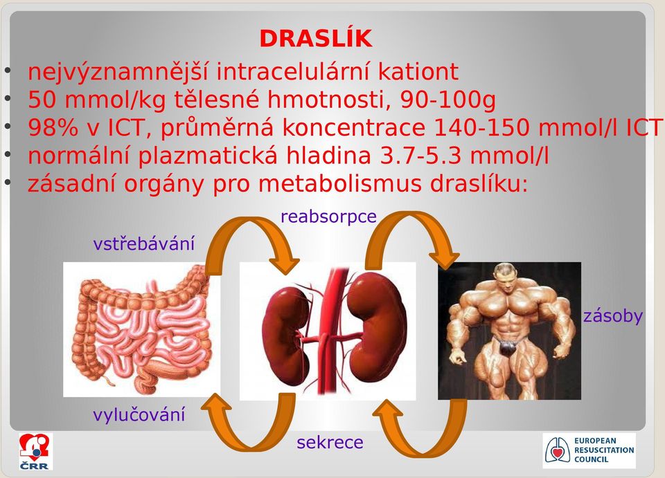 ICT normální plazmatická hladina 3.7-5.