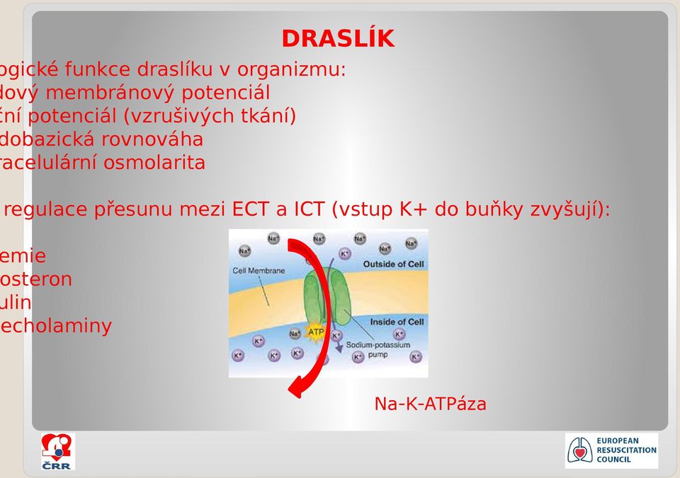 rovnováha racelulární osmolarita regulace přesunu mezi ECT a