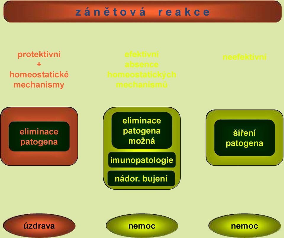 neefektivní eliminace patogena eliminace patogena možná