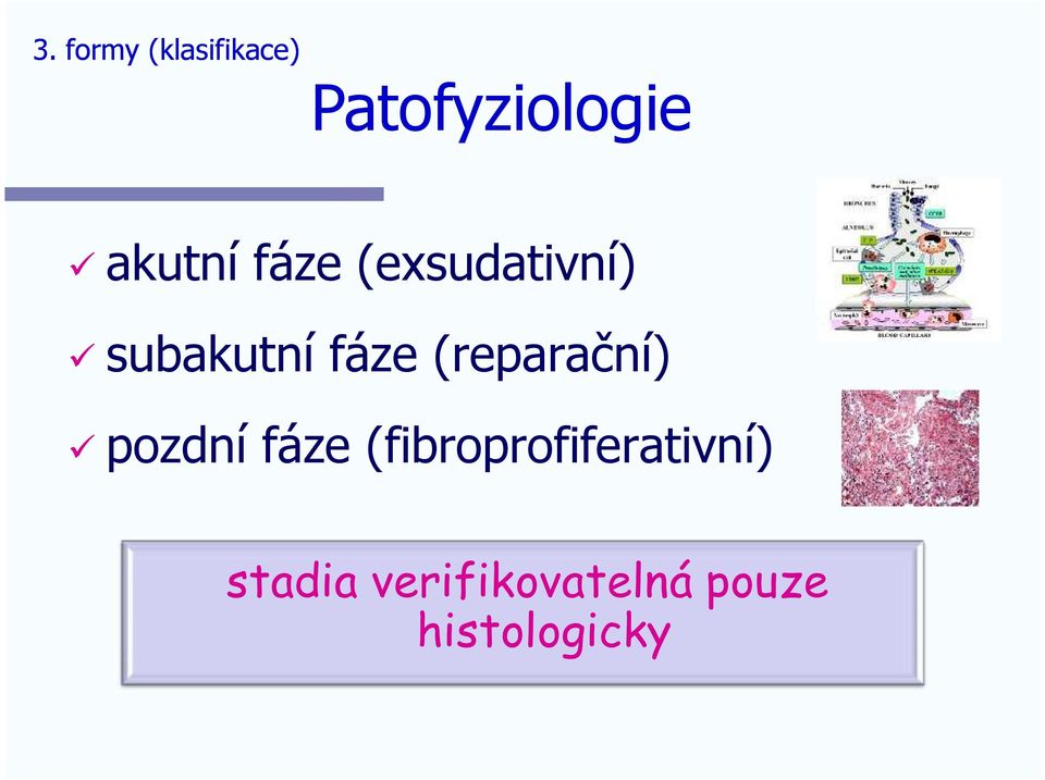 subakutní pozdní fáze (reparační) fáze