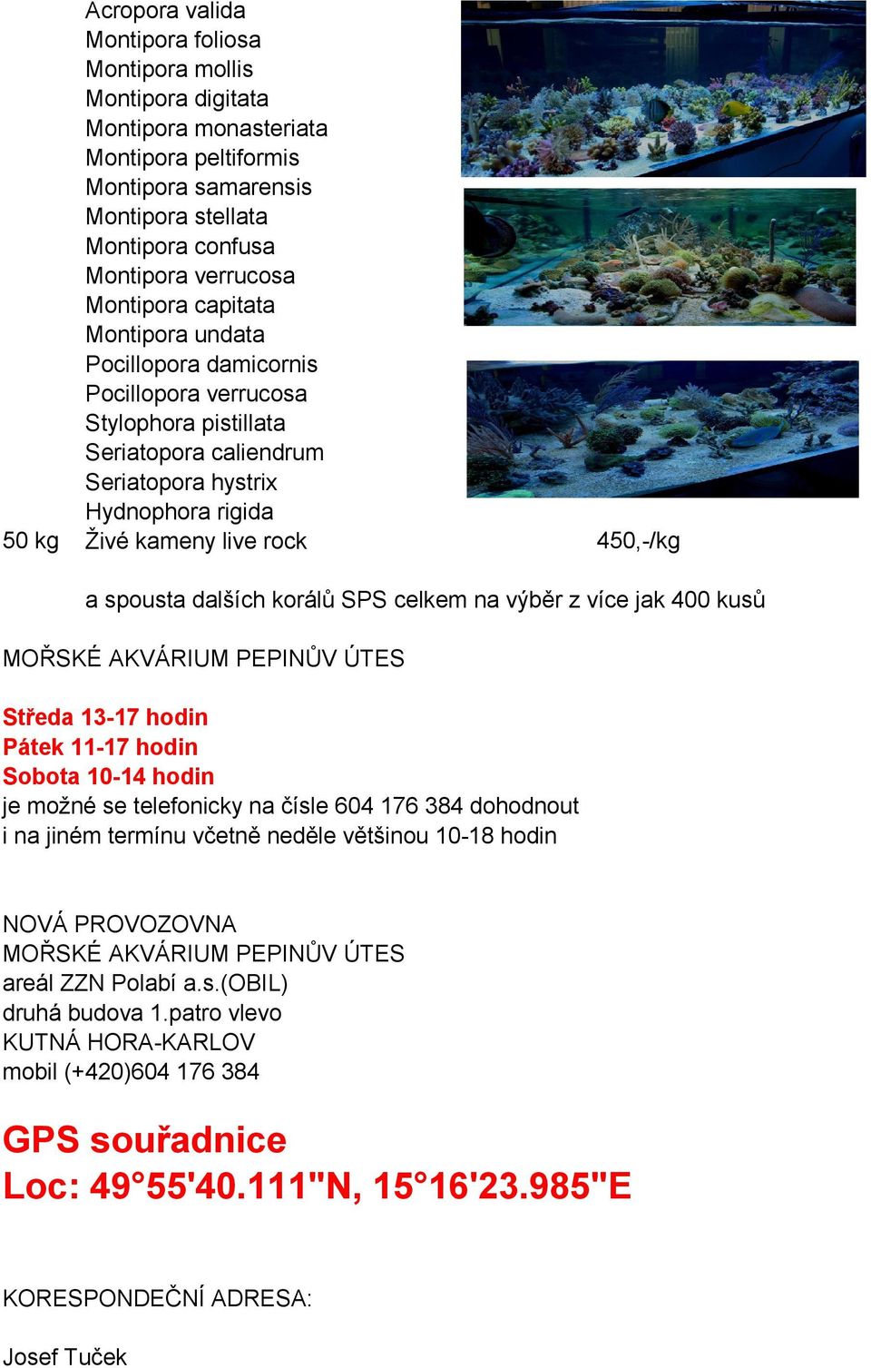 450,-/kg a spousta dalších korálů SPS celkem na výběr z více jak 400 kusů MOŘSKÉ AKVÁRIUM PEPINŮV ÚTES Středa 13-17 hodin Pátek 11-17 hodin Sobota 10-14 hodin je možné se telefonicky na čísle 604 176
