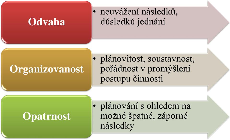 pořádnost v promýšlení postupu činnosti