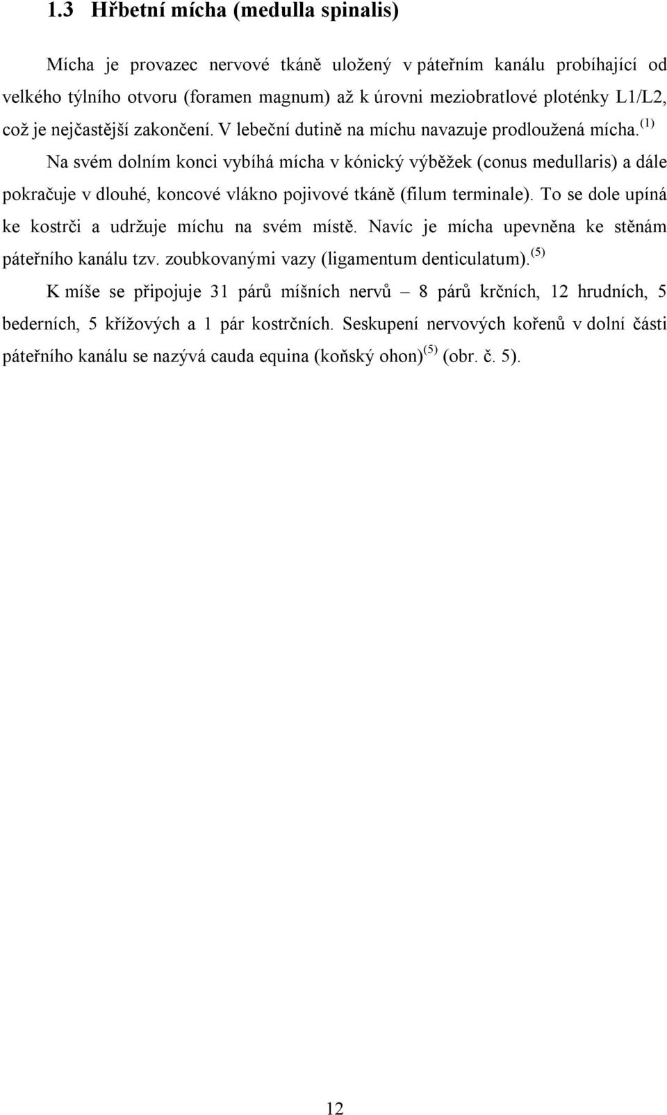 (1) Na svém dolním konci vybíhá mícha v kónický výběžek (conus medullaris) a dále pokračuje v dlouhé, koncové vlákno pojivové tkáně (filum terminale).