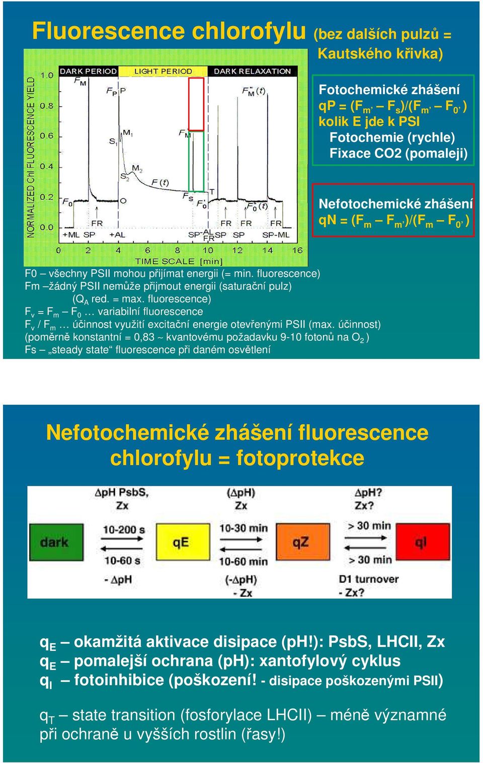 fluorescence) F v = F m F 0 variabilní fluorescence F v / F m účinnost využití excitační energie otevřenými PSII (max.