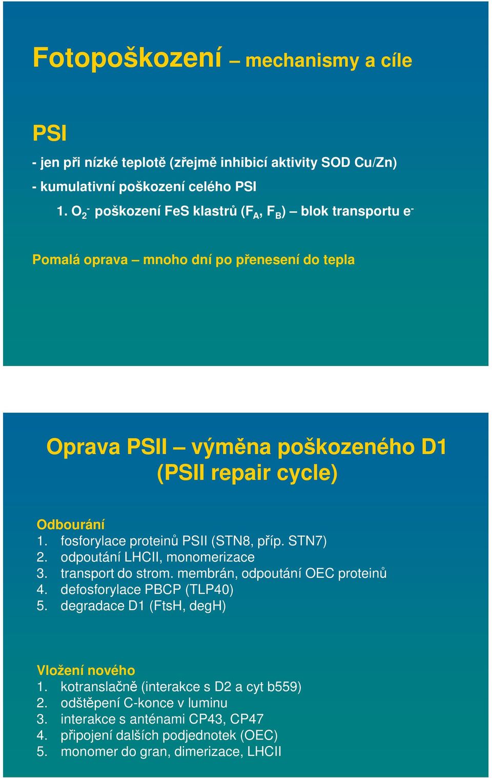 fosforylace proteinů PSII (STN8, příp. STN7) 2. odpoutání LHCII, monomerizace 3. transport do strom. membrán, odpoutání OEC proteinů 4. defosforylace PBCP (TLP40) 5.