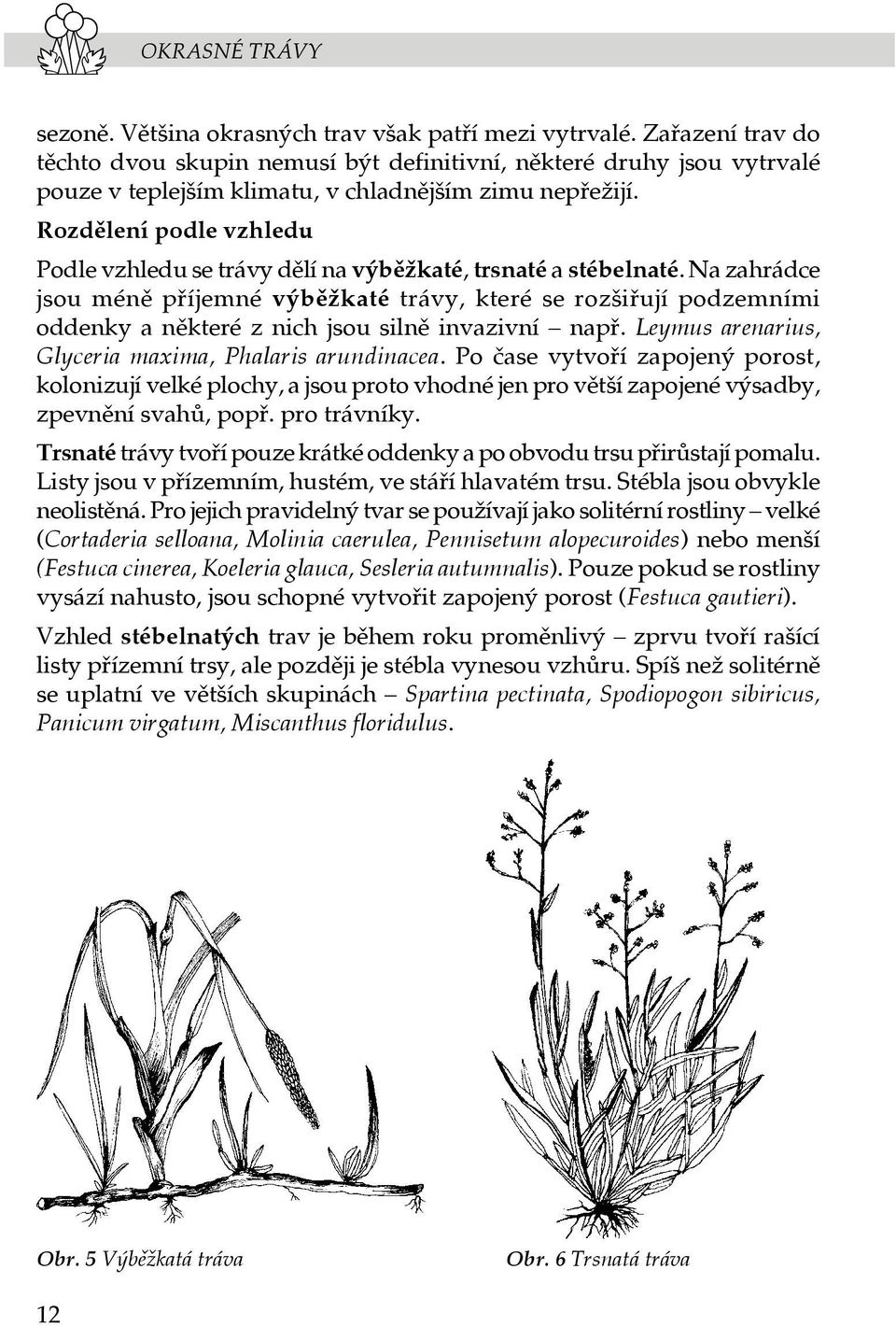 Rozdělení podle vzhledu Podle vzhledu se trávy dělí na výběžkaté, trsnaté a stébelnaté.