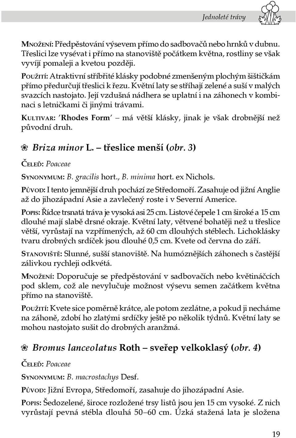 Její vzdušná nádhera se uplatní i na záhonech v kombinaci s letničkami či jinými trávami. KULTIVAR: Rhodes Form má větší klásky, jinak je však drobnější než původní druh. Briza minor L.