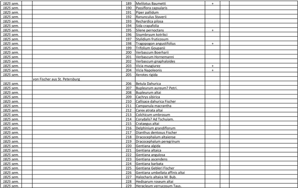 199 Trifolium Goupanii 1825 sem. 200 Verbascum Boerharii 1825 sem. 201 Verbascum Hornemanni 1825 sem. 202 Verbascum gnaphaloides 1825 sem. 203 Vicia musgiurez + 1825 sem.