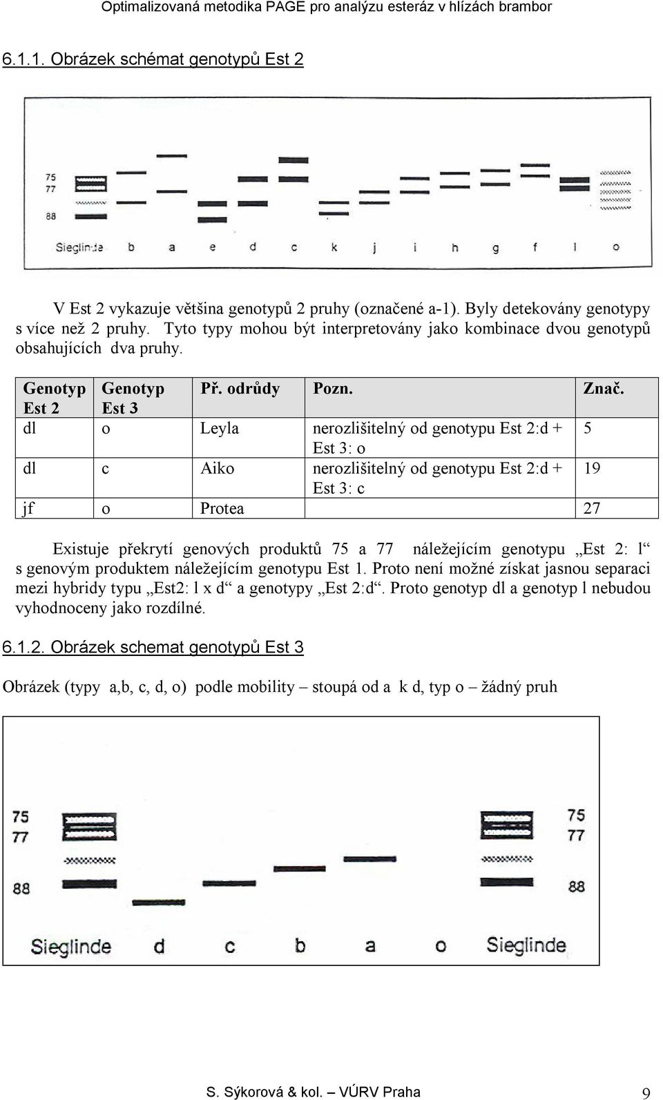 Est 2 Est 3 dl o Leyla nerozlišitelný od genotypu Est 2:d + 5 Est 3: o dl c Aiko nerozlišitelný od genotypu Est 2:d + 19 Est 3: c jf o Protea 27 Existuje překrytí genových produktů 75 a 77