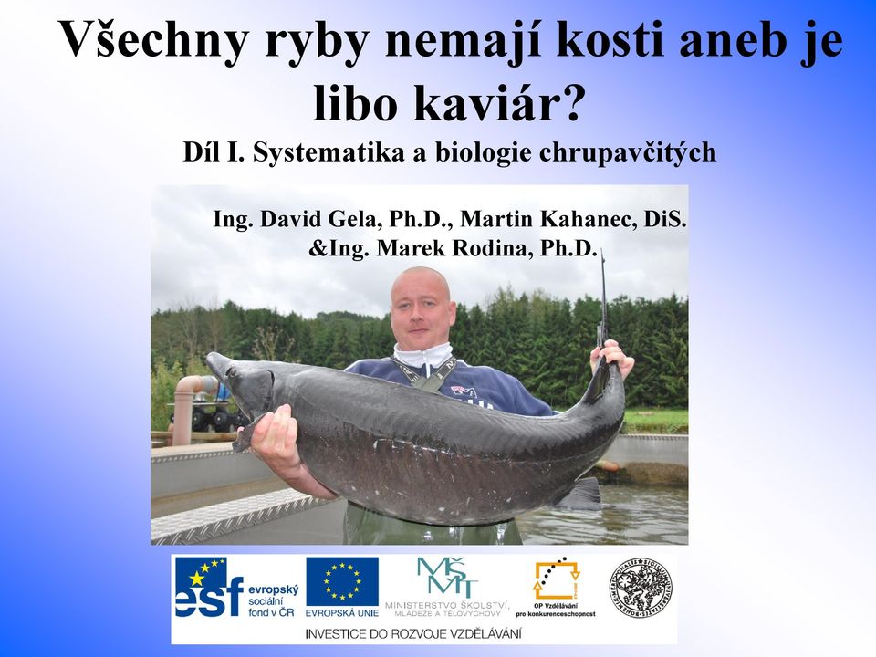 Systematika a biologie chrupavčitých Ing.