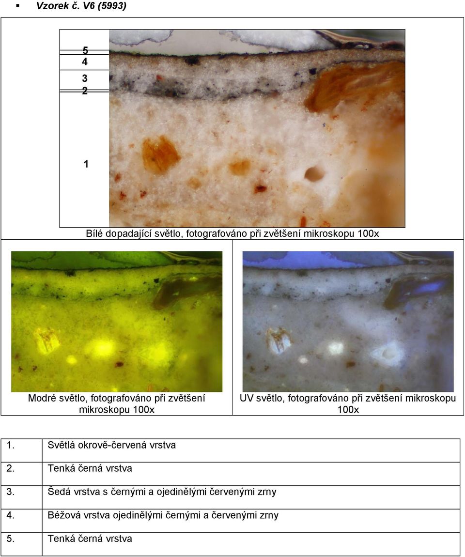 fotografováno při zvětšení mikroskopu 100x UV světlo, fotografováno při zvětšení mikroskopu