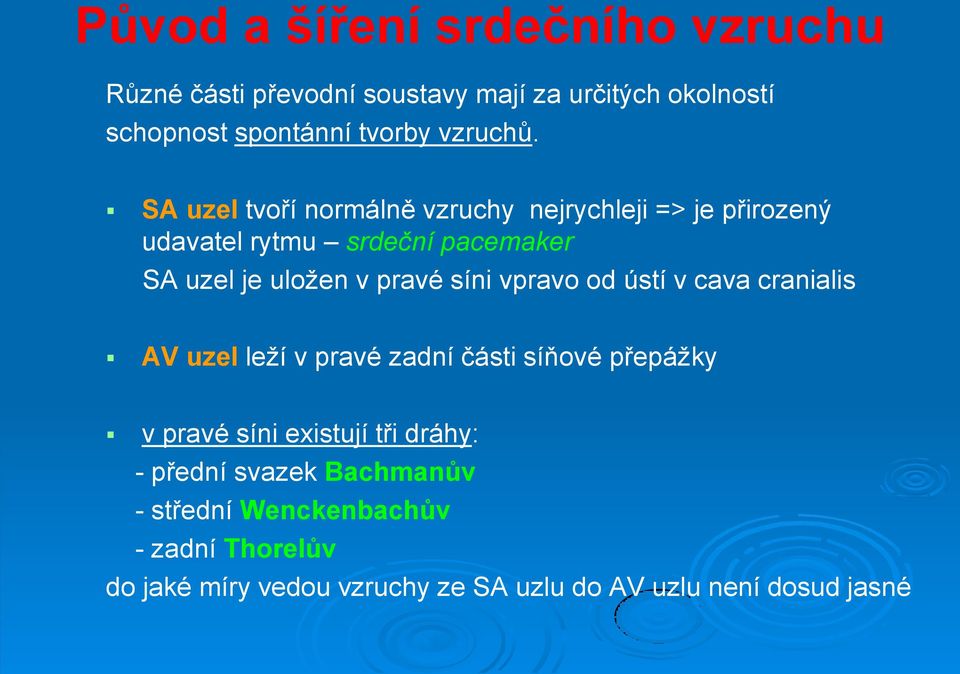 SA uzel tvoří normálně vzruchy nejrychleji => je přirozený udavatel rytmu srdeční pacemaker SA uzel je uložen v pravé síni