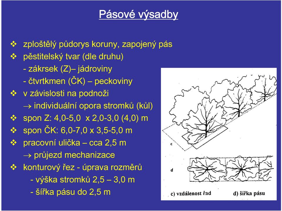 (kůl) spon Z: 4,0-5,0 x 2,0-3,0 (4,0) m spon ČK: 6,0-7,0 x 3,5-5,0 m pracovní ulička cca 2,5 m