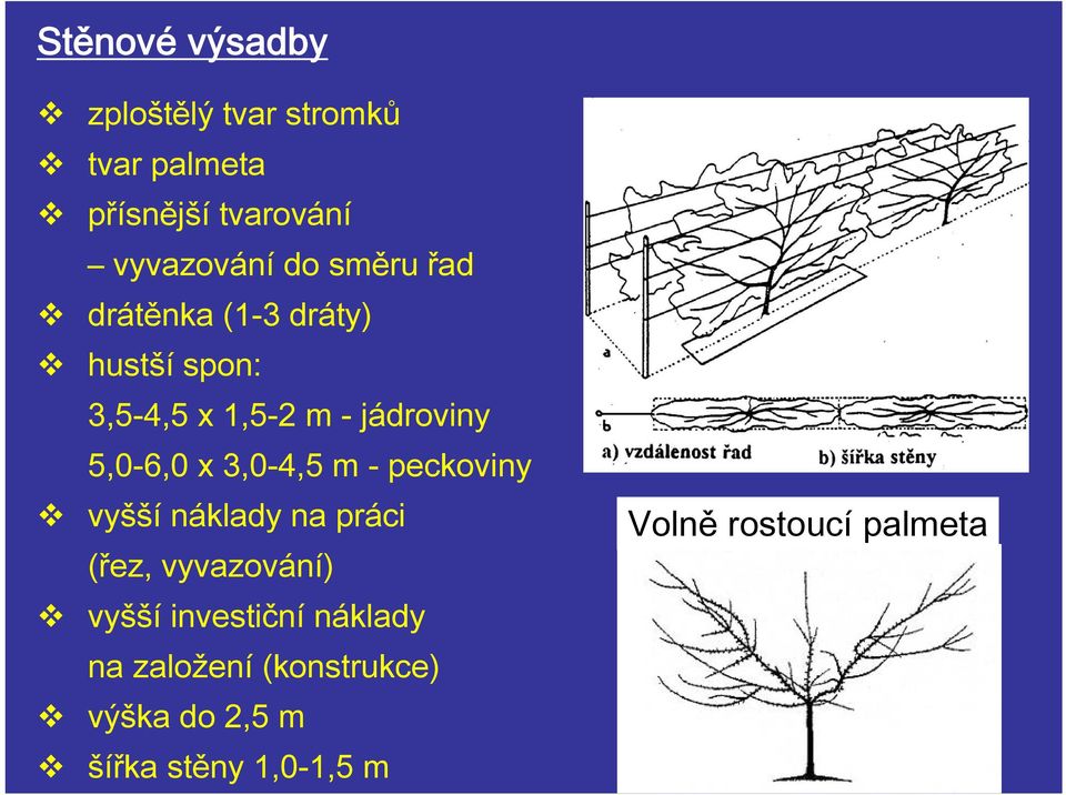 3,0-4,5 m - peckoviny vyšší náklady na práci (řez, vyvazování) vyšší investiční