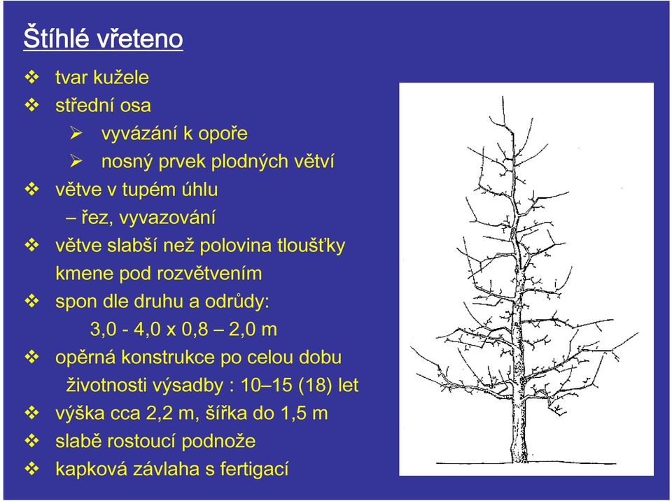 druhu a odrůdy: 3,0-4,0 x 0,8 2,0 m opěrná konstrukce po celou dobu životnosti výsadby : 10
