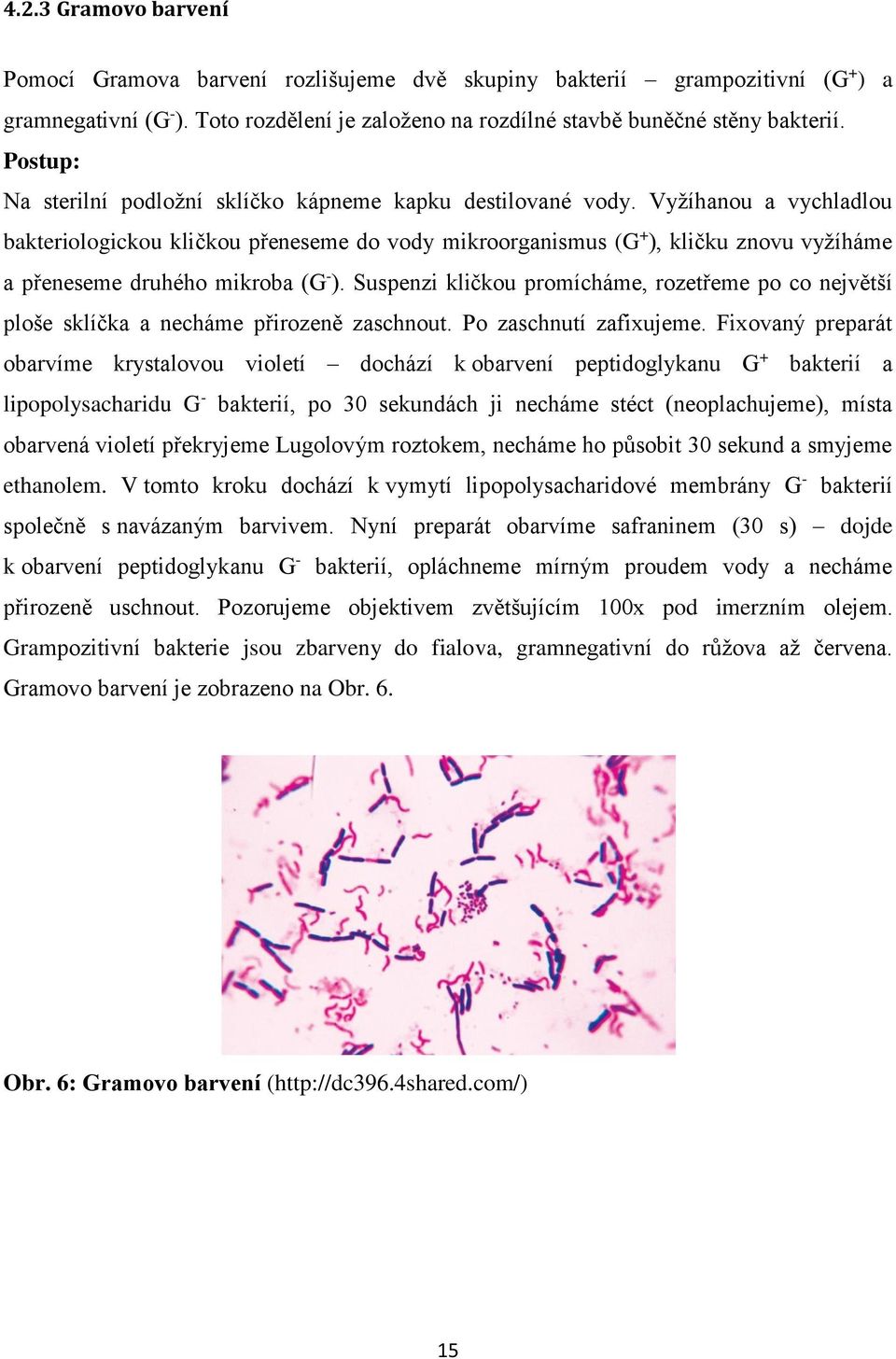 Vyžíhanou a vychladlou bakteriologickou kličkou přeneseme do vody mikroorganismus (G + ), kličku znovu vyžíháme a přeneseme druhého mikroba (G - ).