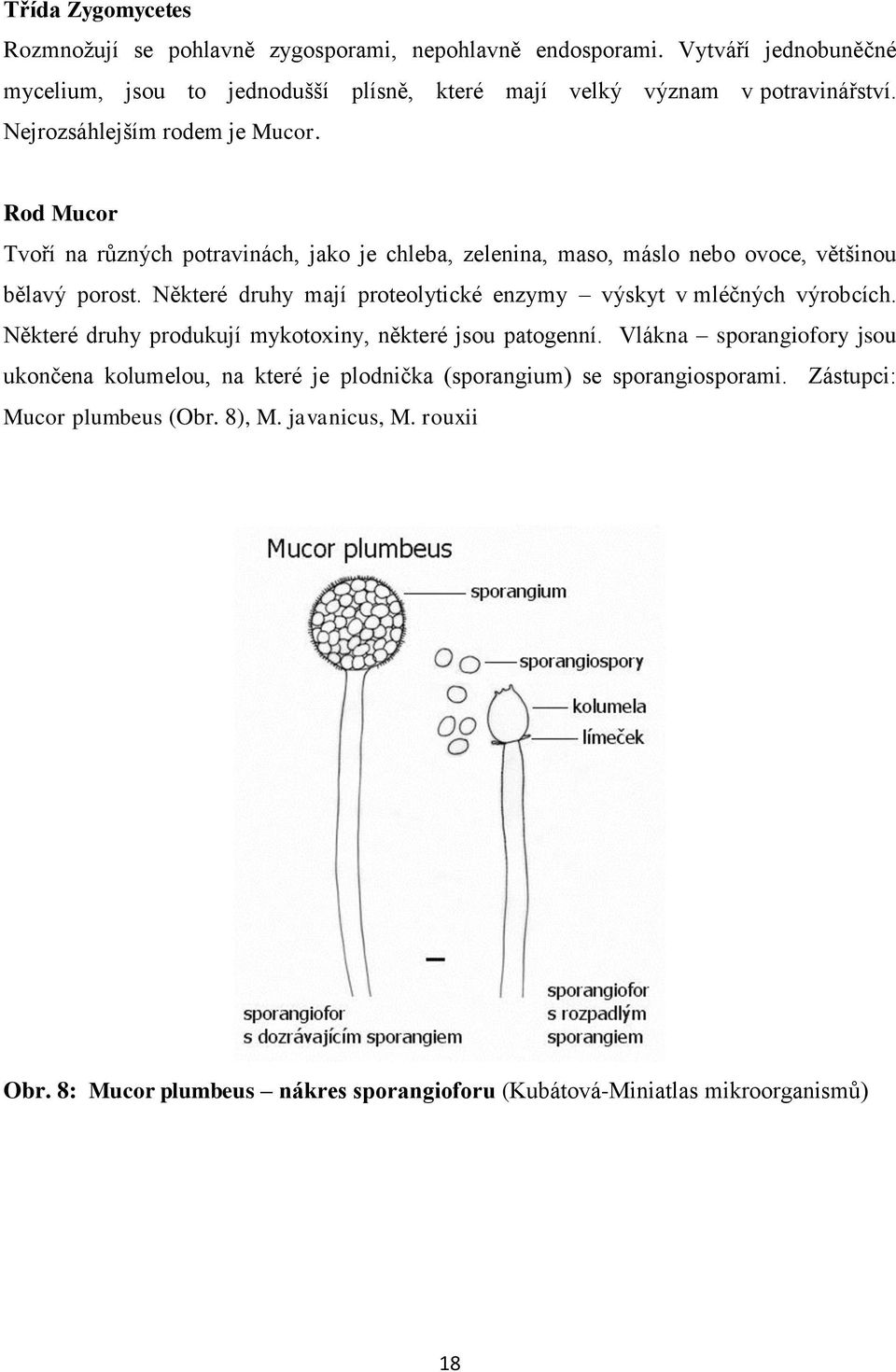 Rod Mucor Tvoří na různých potravinách, jako je chleba, zelenina, maso, máslo nebo ovoce, většinou bělavý porost.