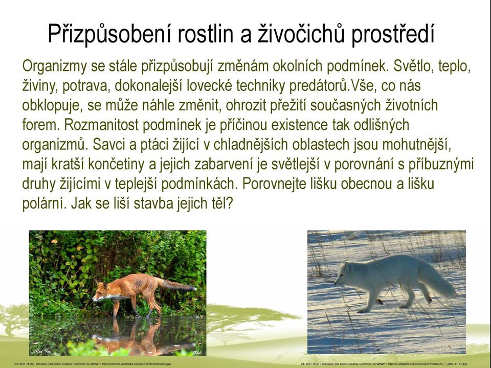 Savci a ptáci žijící v chladnějších oblastech jsou mohutnější, mají kratší končetiny a jejich zabarvení je světlejší v porovnání s příbuznými druhy žijícími v teplejší podmínkách.