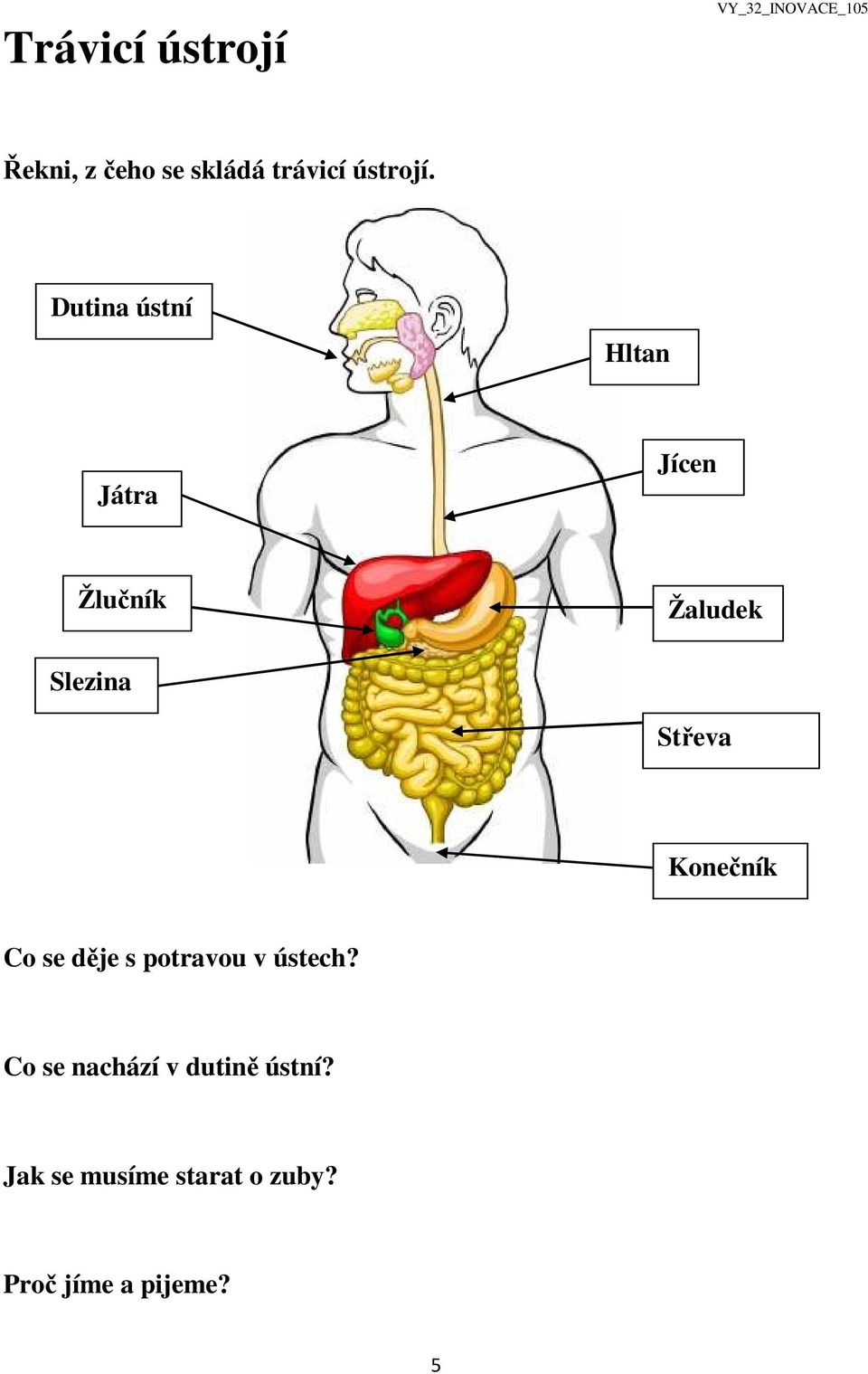 Dutina ústní Hltan Játra Jícen Žlučník Žaludek Slezina Střeva