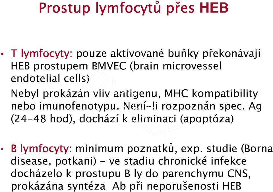 Ag (24-48 hod), dochází k eliminaci (apoptóza) B lymfocyty: minimum poznatků, exp.