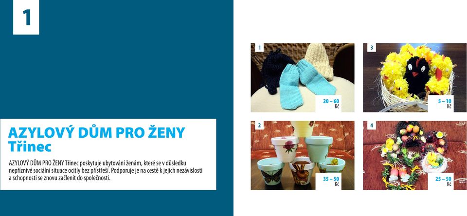 sociální situace ocitly bez přístřeší.