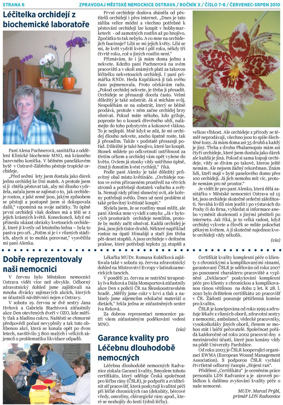 A protože jsem si ji chtěla pěstovat tak, aby mi dlouho vydržela, začala jsem se zajímat o to, jak orchideje rostou, z jaké země jsou, jakým způsobem se pěstují a postupně jsem si dokupovala další,